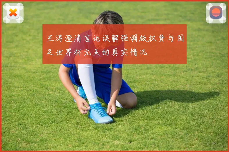 王涛澄清言论误解强调版权费与国足世界杯无关的真实情况