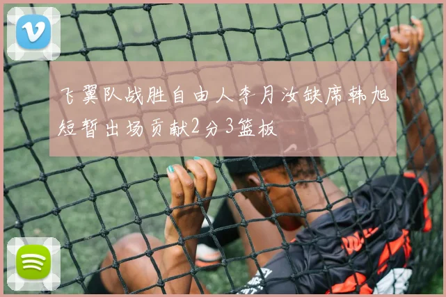 飞翼队战胜自由人李月汝缺席韩旭短暂出场贡献2分3篮板